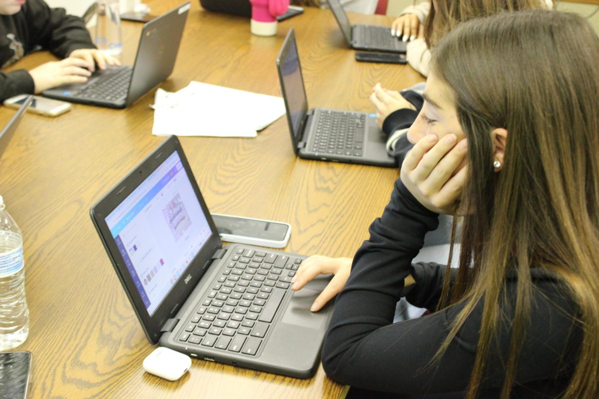 Chromebook connoisseur: For many students, having their Chromebooks open in class is a constant. Due to the coronavirus pandemic, the use of Chromebooks has increased dramatically.