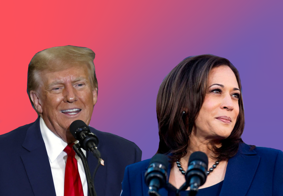  The battle for 47: Voters will choose between former President Donald Trump (R), Vice President Kamala Harris
(D) and a number of lesser-known third party candidates on Election Day, November 5.