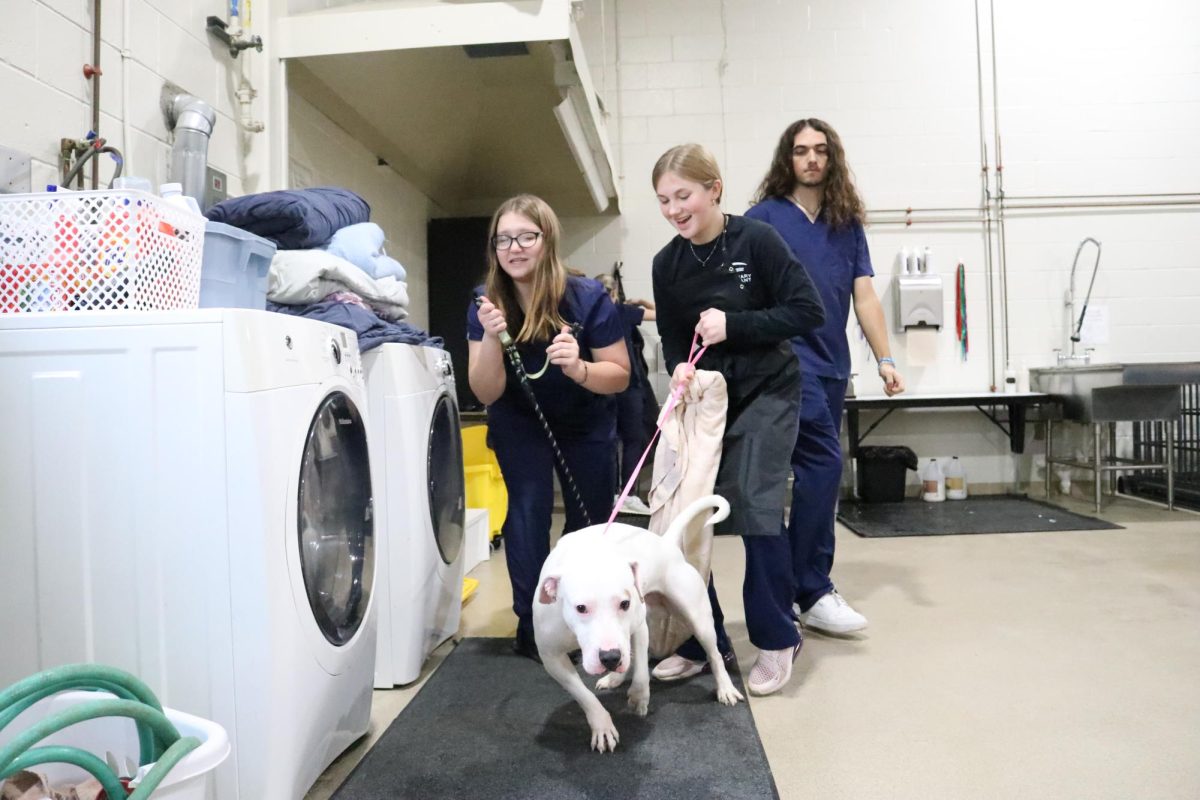 Getting experience: Holding the leash, Emma Ward (11) attempts to manage the dog with her classmates. The Beaver County Career & Technology Center provided both in-class educational experiences and hands-on experiences for students to gain the most out of their education.