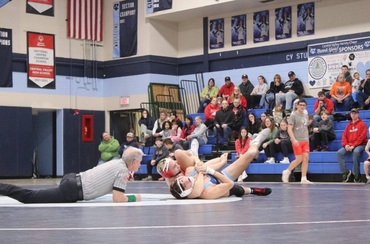 Wrestling team finishes season