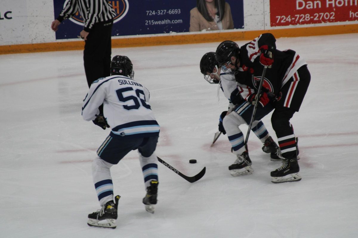 Powerful puck-play: Physically, Logan Sullivan swiftly grabs the puck from underneath the Sewickley Academy center to give the Warriors possession. A big part of hockey is management of the puck in both the offensive and defensive zones.